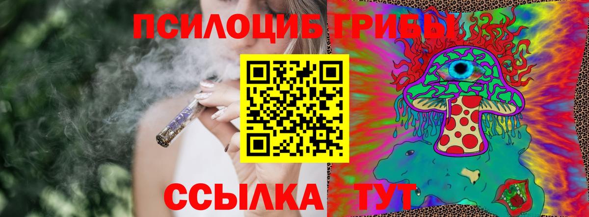 Минусинск  Псилоцибиновые грибы Magic Shrooms  Вход с VPN  купить закладку  Галлюциногенные грибы Psilocybine cubensis 