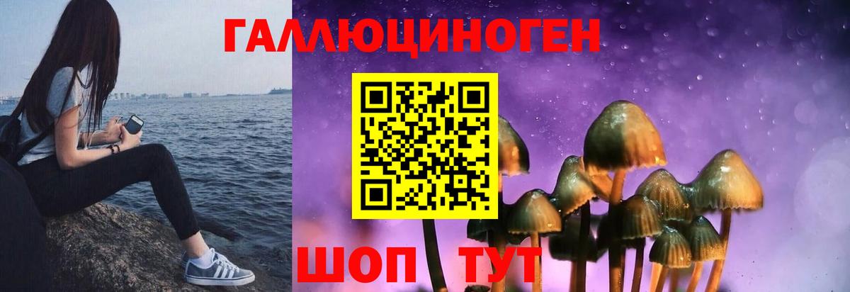 Псилоцибиновые грибы прущие грибы Минусинск